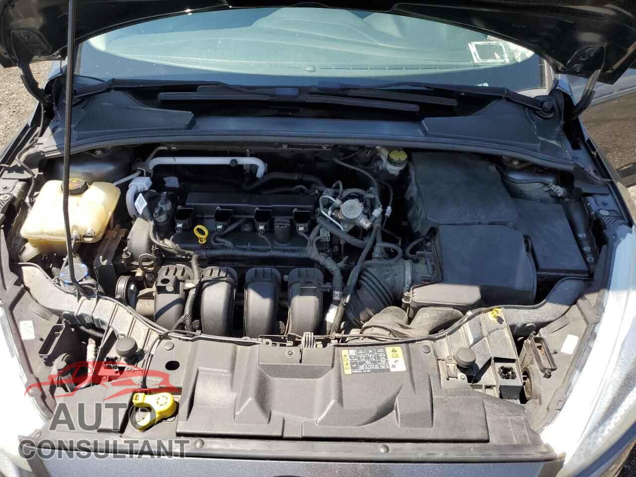 FORD FOCUS 2016 - 1FADP3F22GL389102