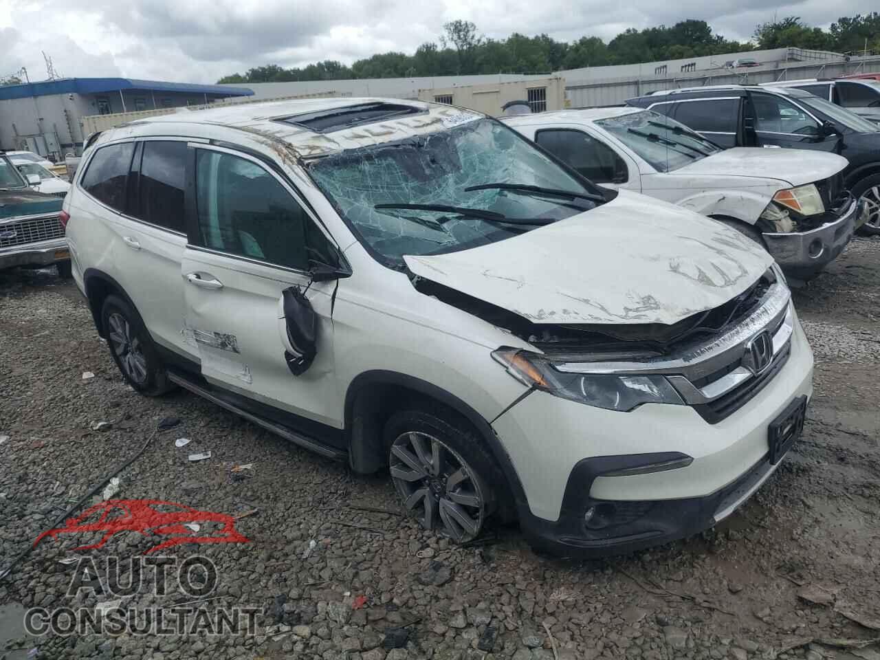 HONDA PILOT 2019 - 5FNYF5H53KB035148