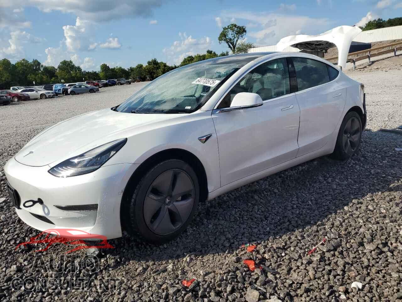 TESLA MODEL 3 2019 - 5YJ3E1EAXKF483880