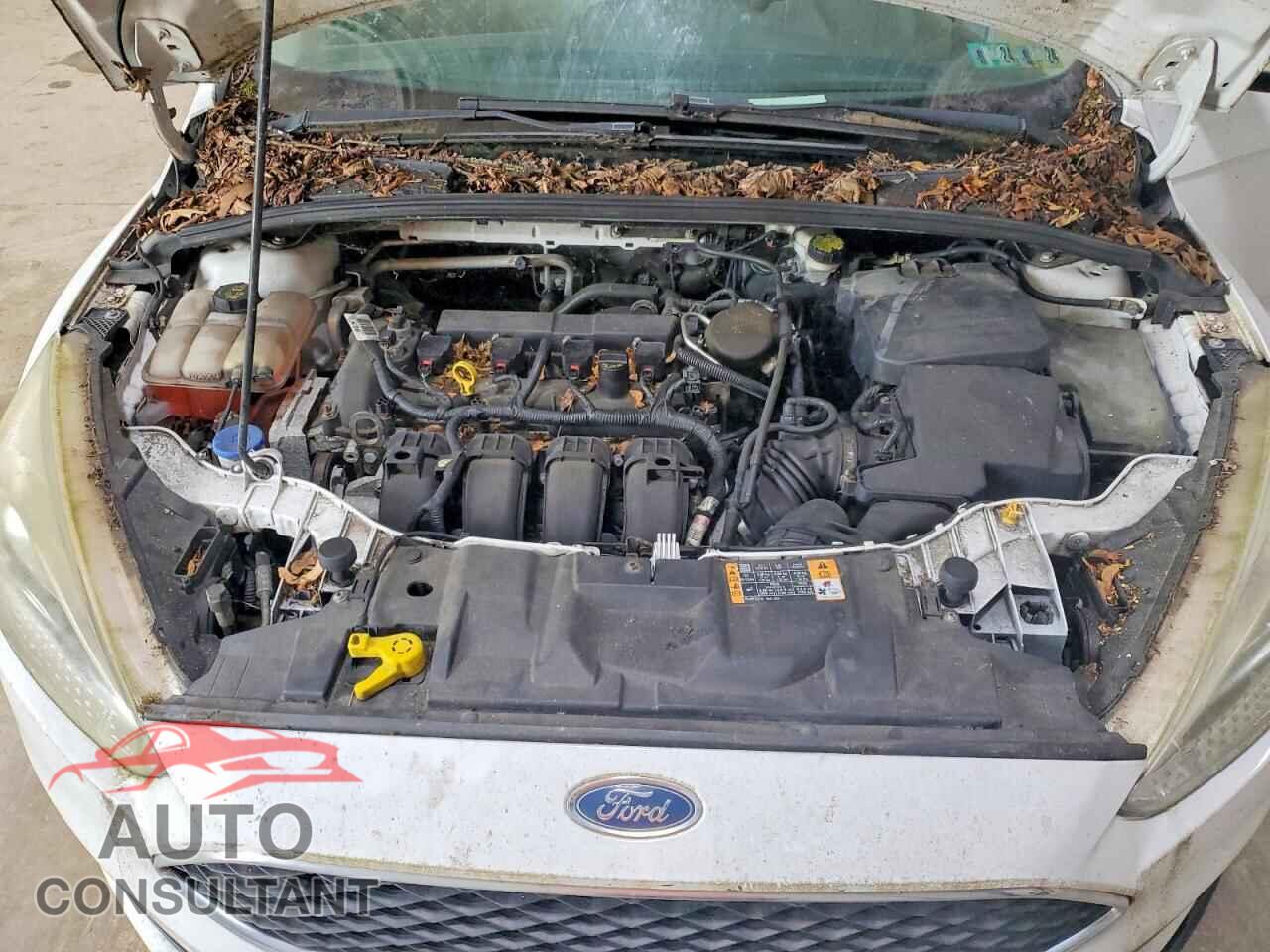 FORD FOCUS 2015 - 1FADP3K2XFL202404