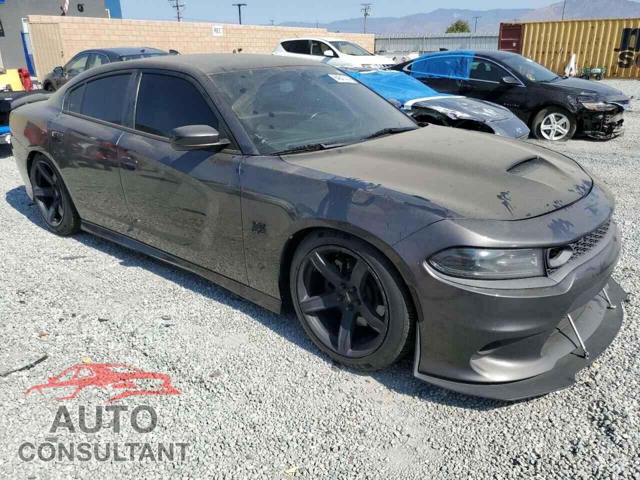 DODGE CHARGER 2019 - 2C3CDXCTXKH597970