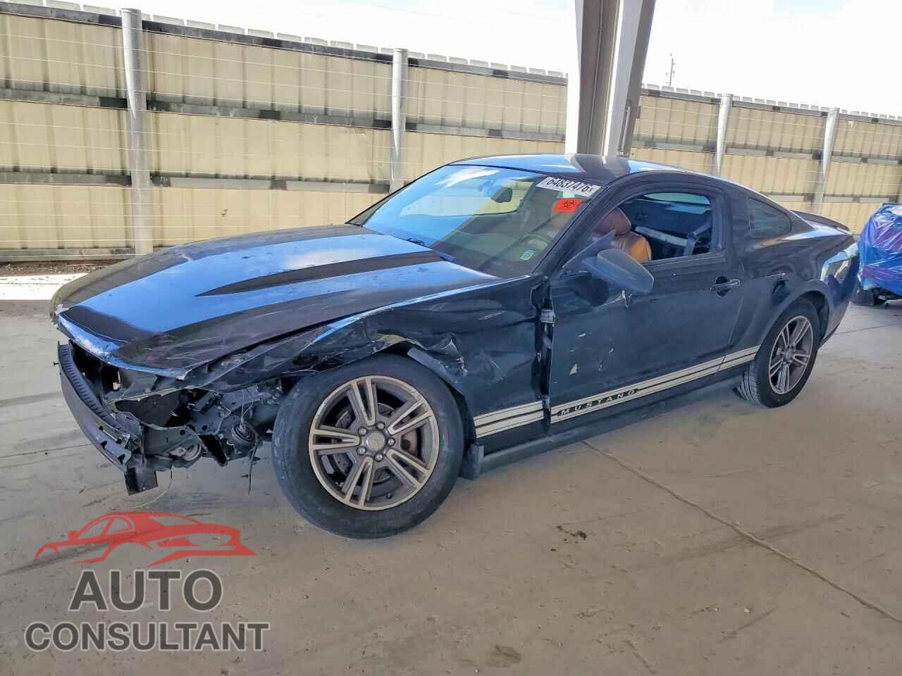 FORD MUSTANG 2010 - 1ZVBP8AN8A5146211