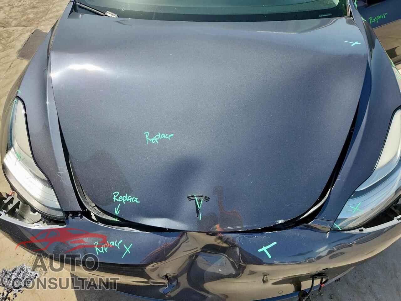 TESLA MODEL 3 2019 - 5YJ3E1EA0KF426880