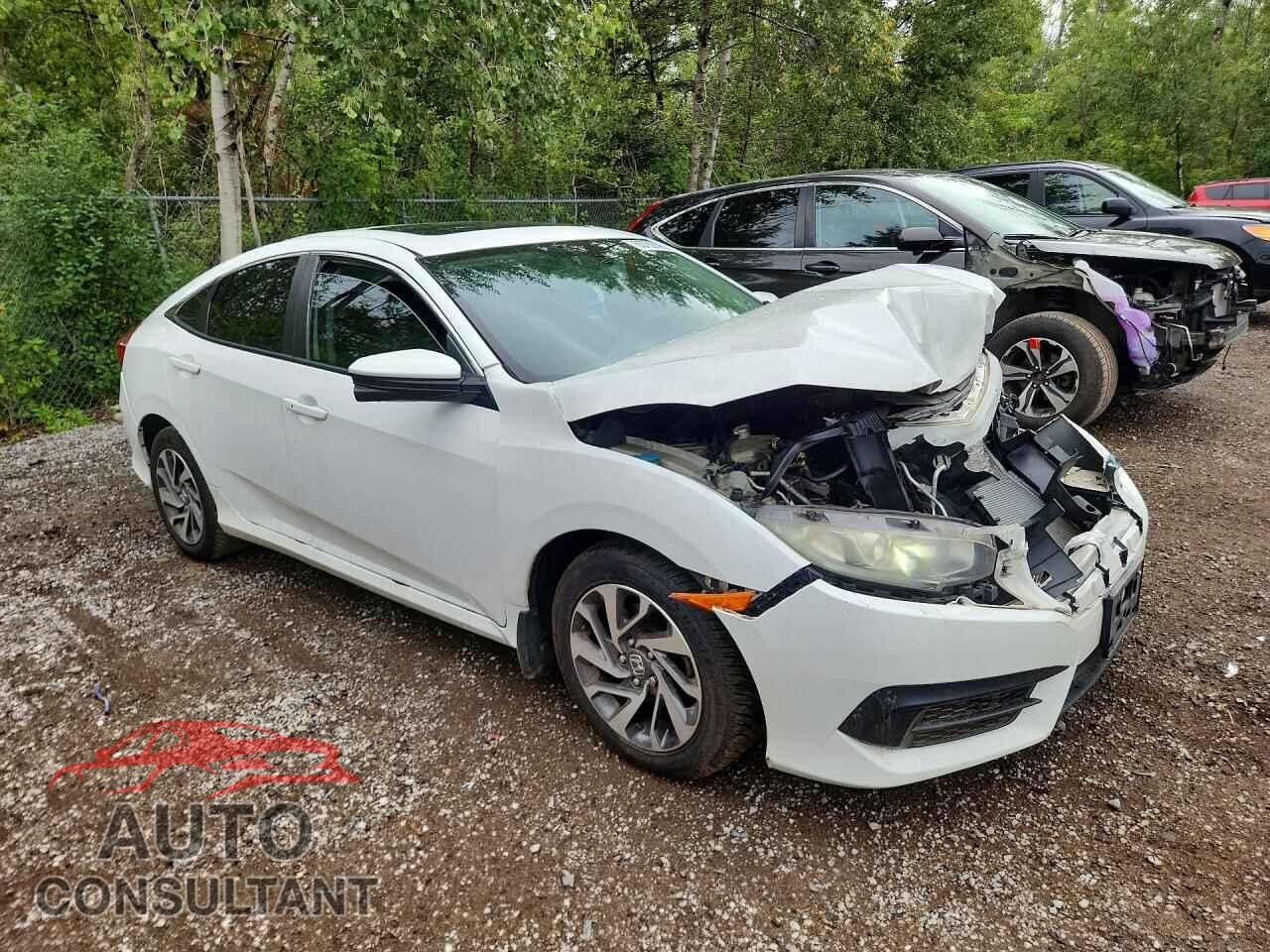HONDA CIVIC 2016 - 2HGFC2F71GH023814