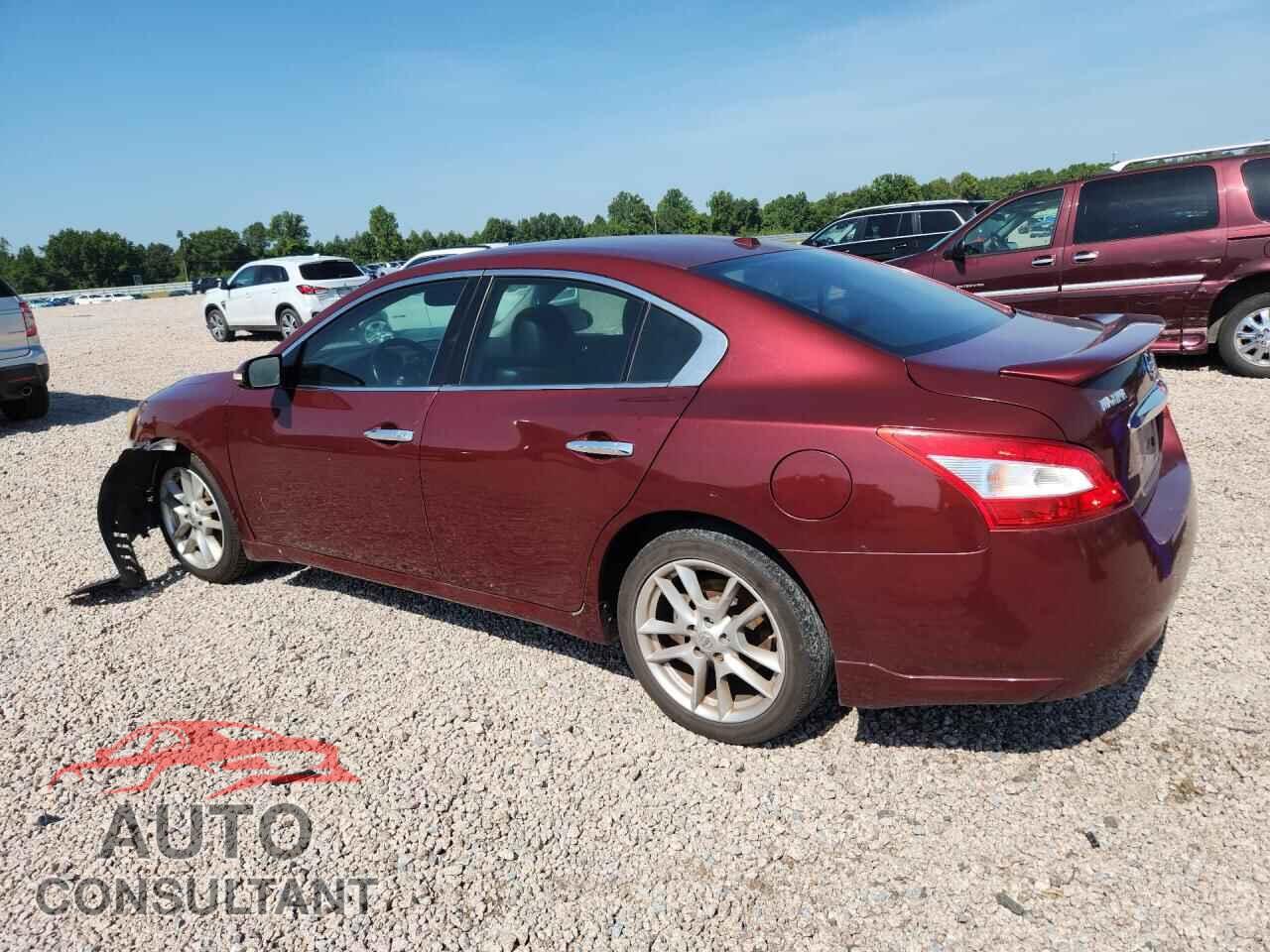 NISSAN MAXIMA 2010 - 1N4AA5AP7AC838137