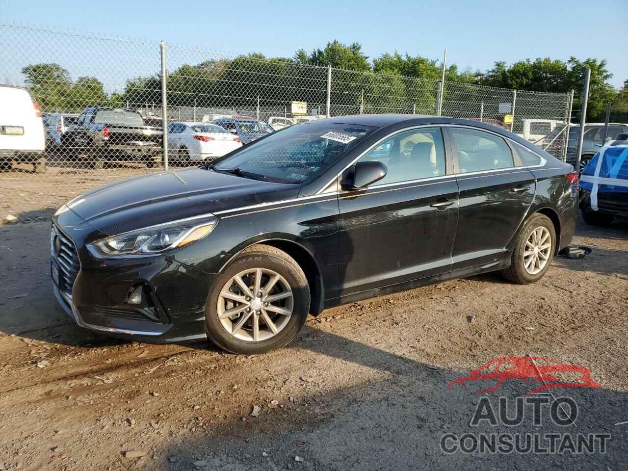 HYUNDAI SONATA 2019 - 5NPE24AF7KH732349
