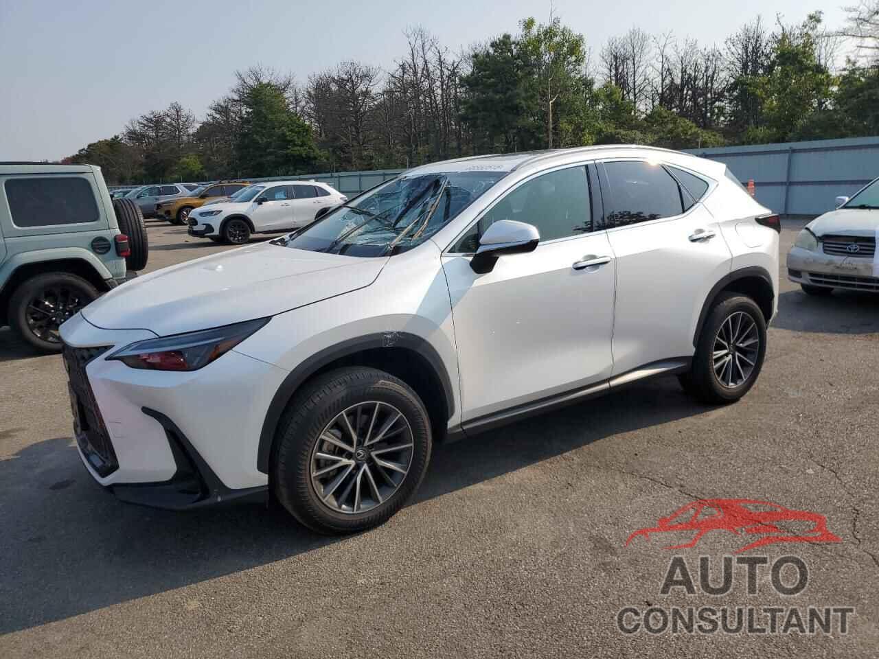 LEXUS NX 250 BAS 2024 - JTJADCAZ9R5014161