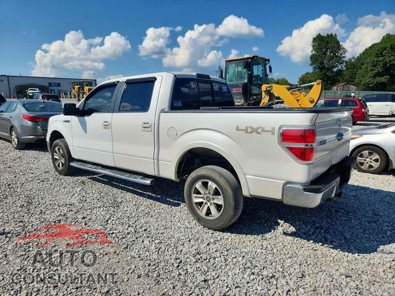 FORD F150 2013 - 1FTFW1ET4DFA80312