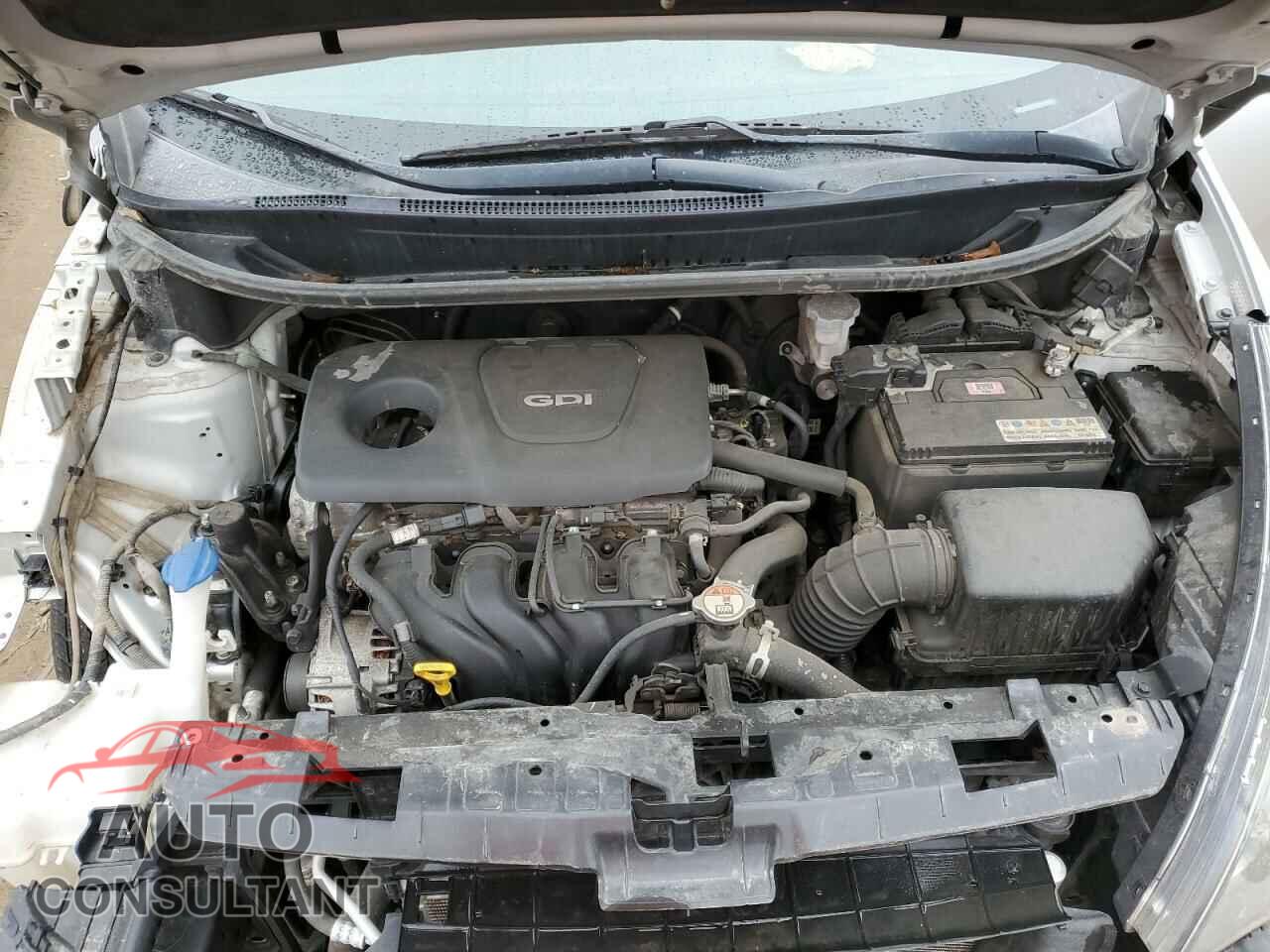 KIA RIO 2016 - KNADM4A32G6560418
