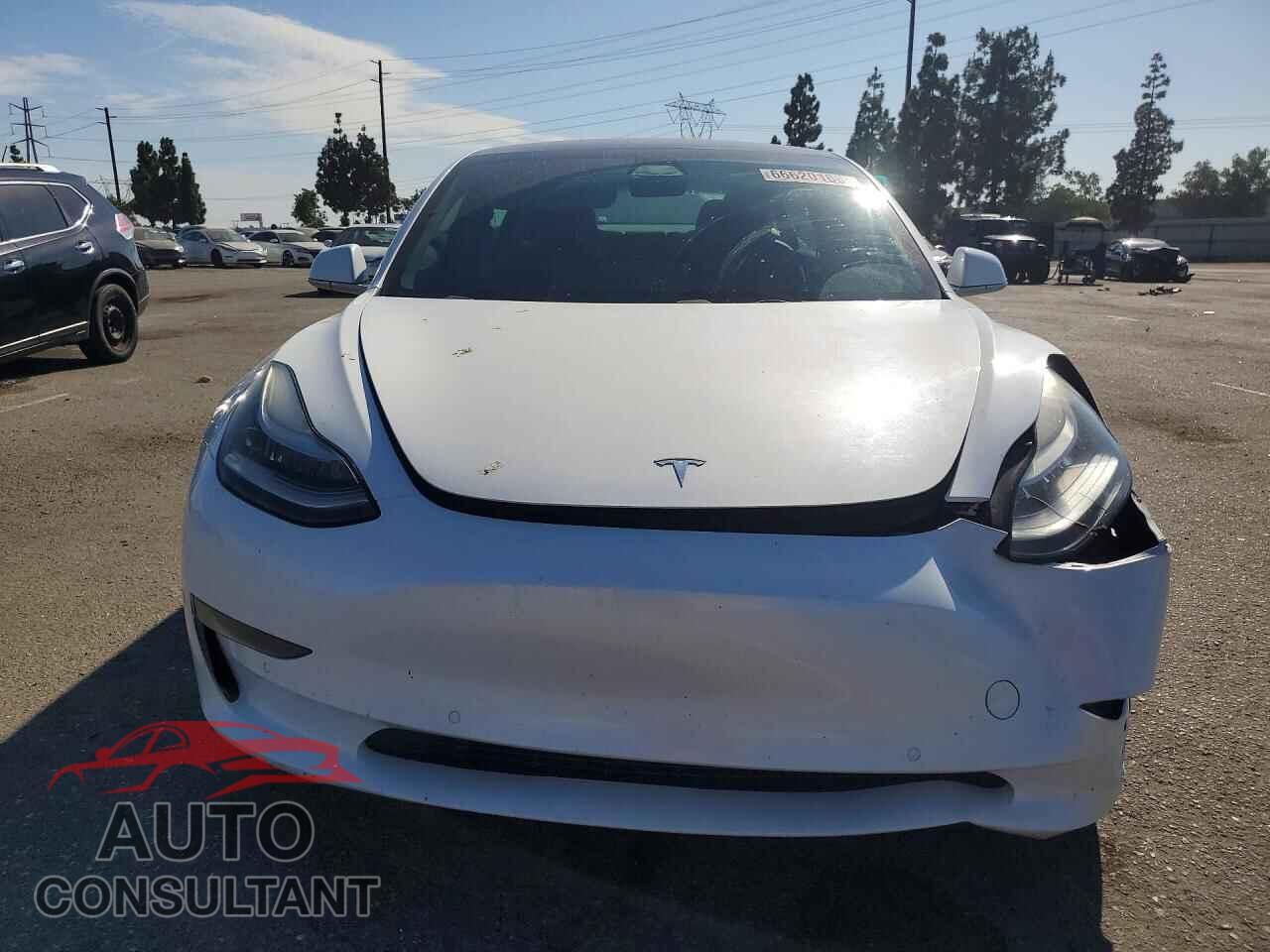 TESLA MODEL 3 2019 - 5YJ3E1EA2KF412141