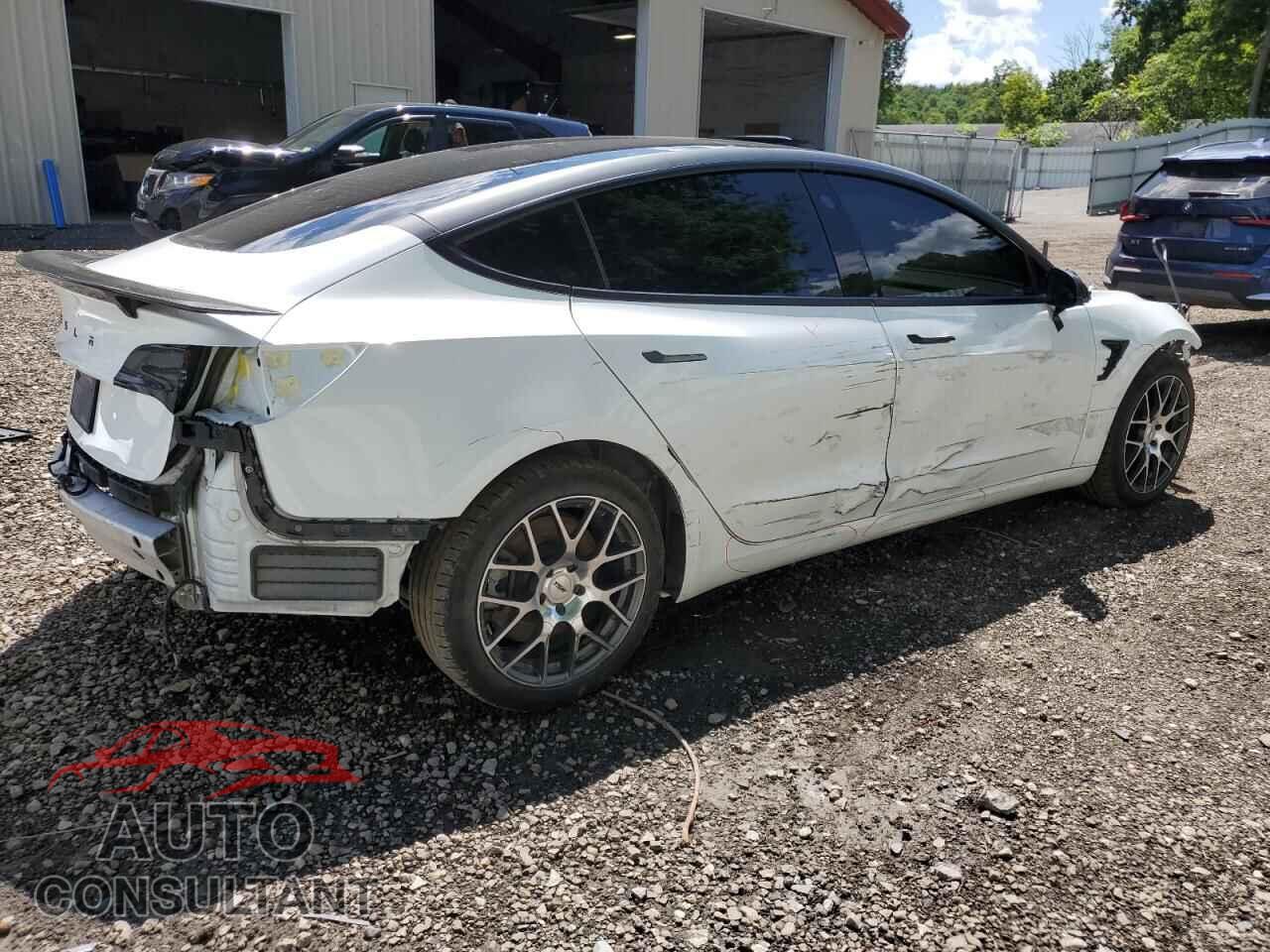 TESLA MODEL 3 2020 - 5YJ3E1EB7LF665501