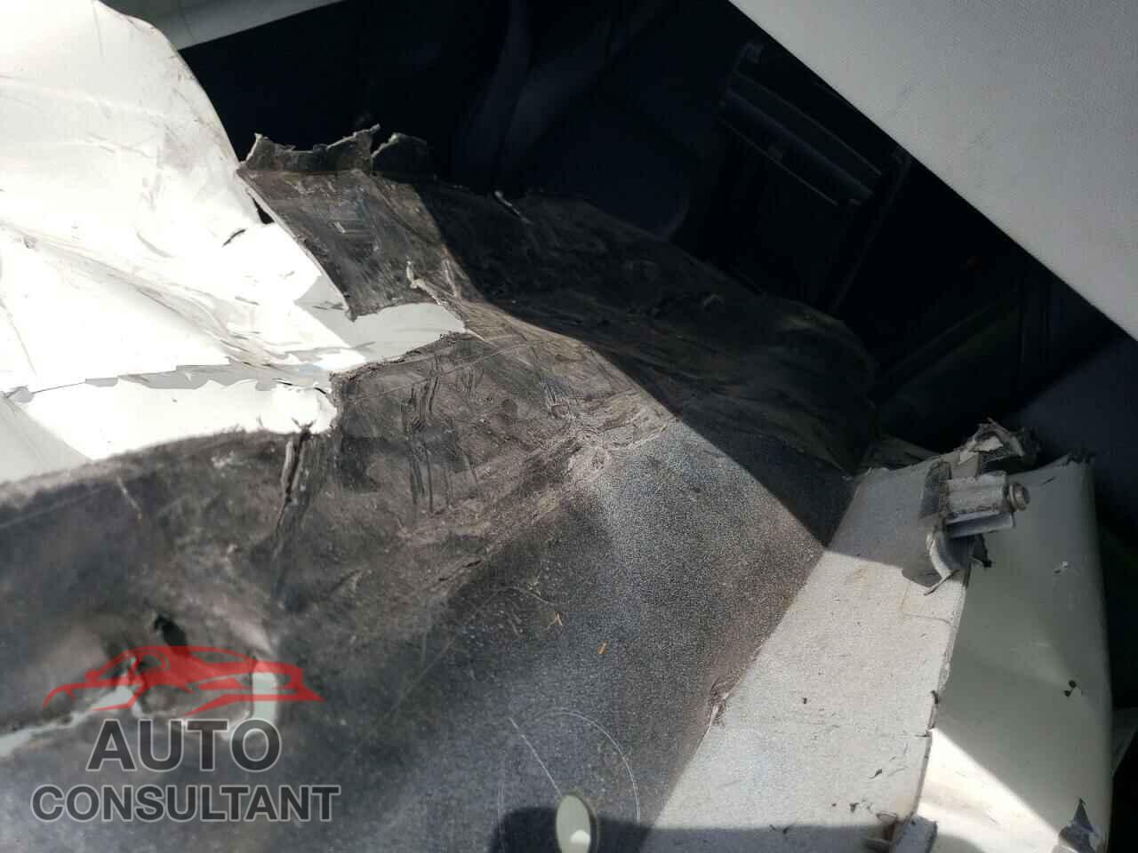 TESLA MODEL 3 2019 - 5YJ3E1EA1KF503952