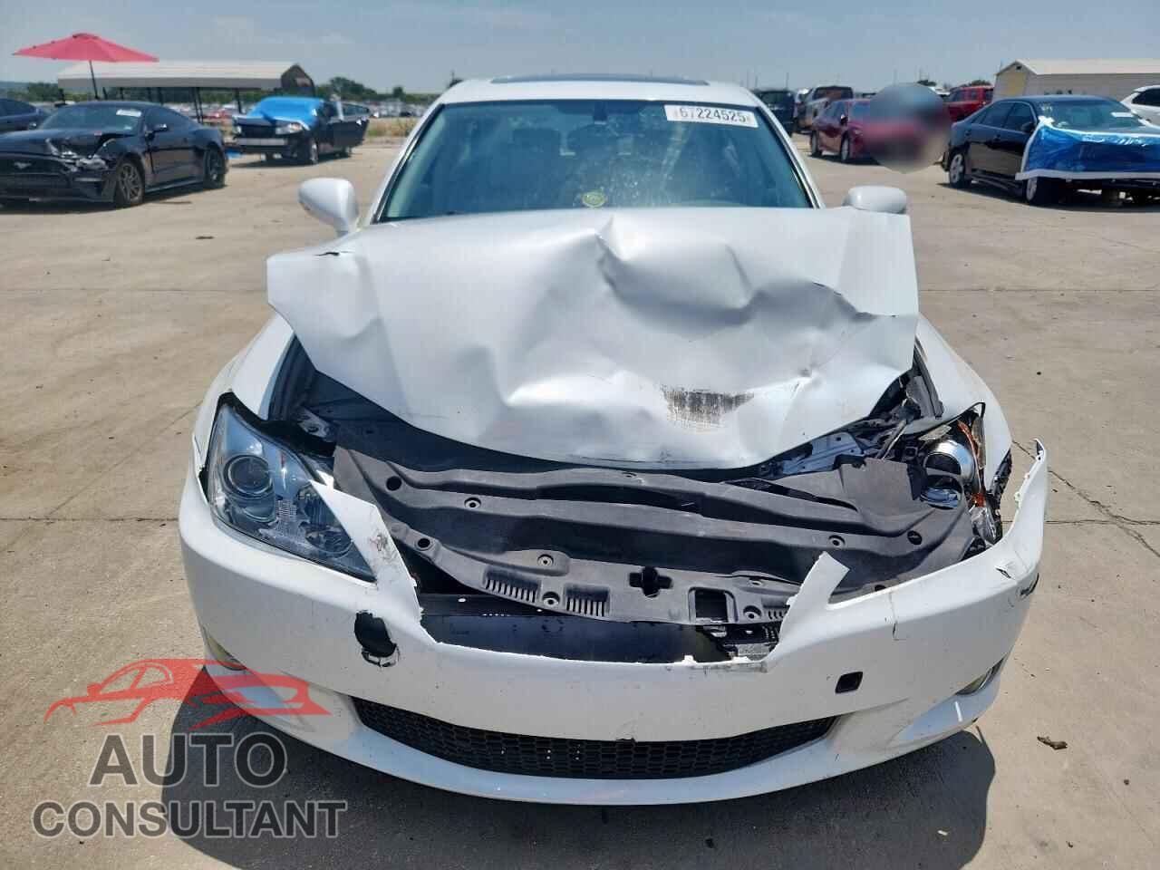 LEXUS IS 2009 - JTHBK262992083581