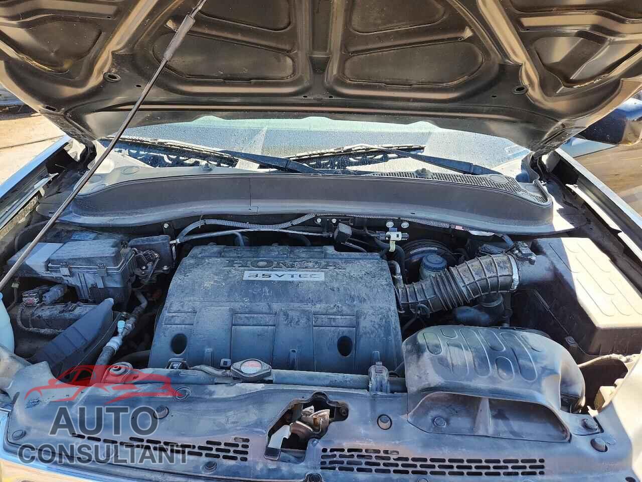 HONDA RIDGELINE 2011 - 5FPYK1F40BB010732