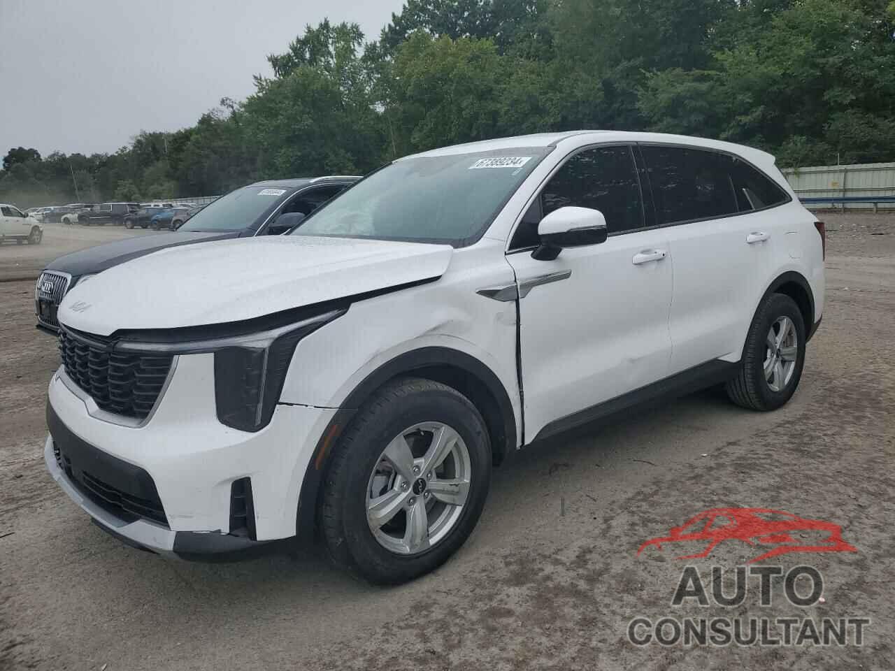 KIA SORENTO 2024 - 5XYRG4JC2RG274021
