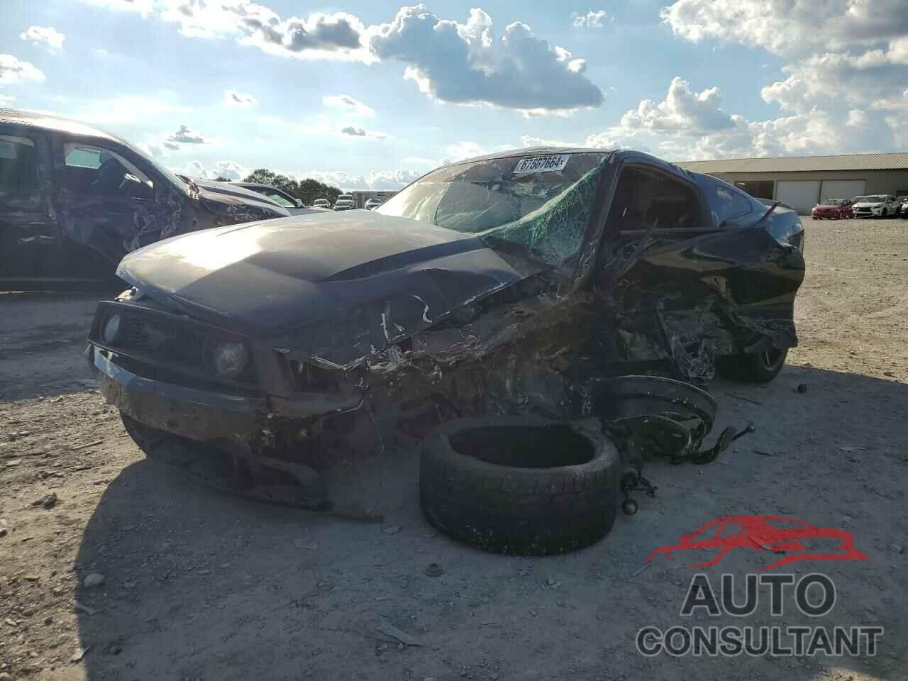 FORD MUSTANG 2012 - 1ZVBP8CF3C5264529