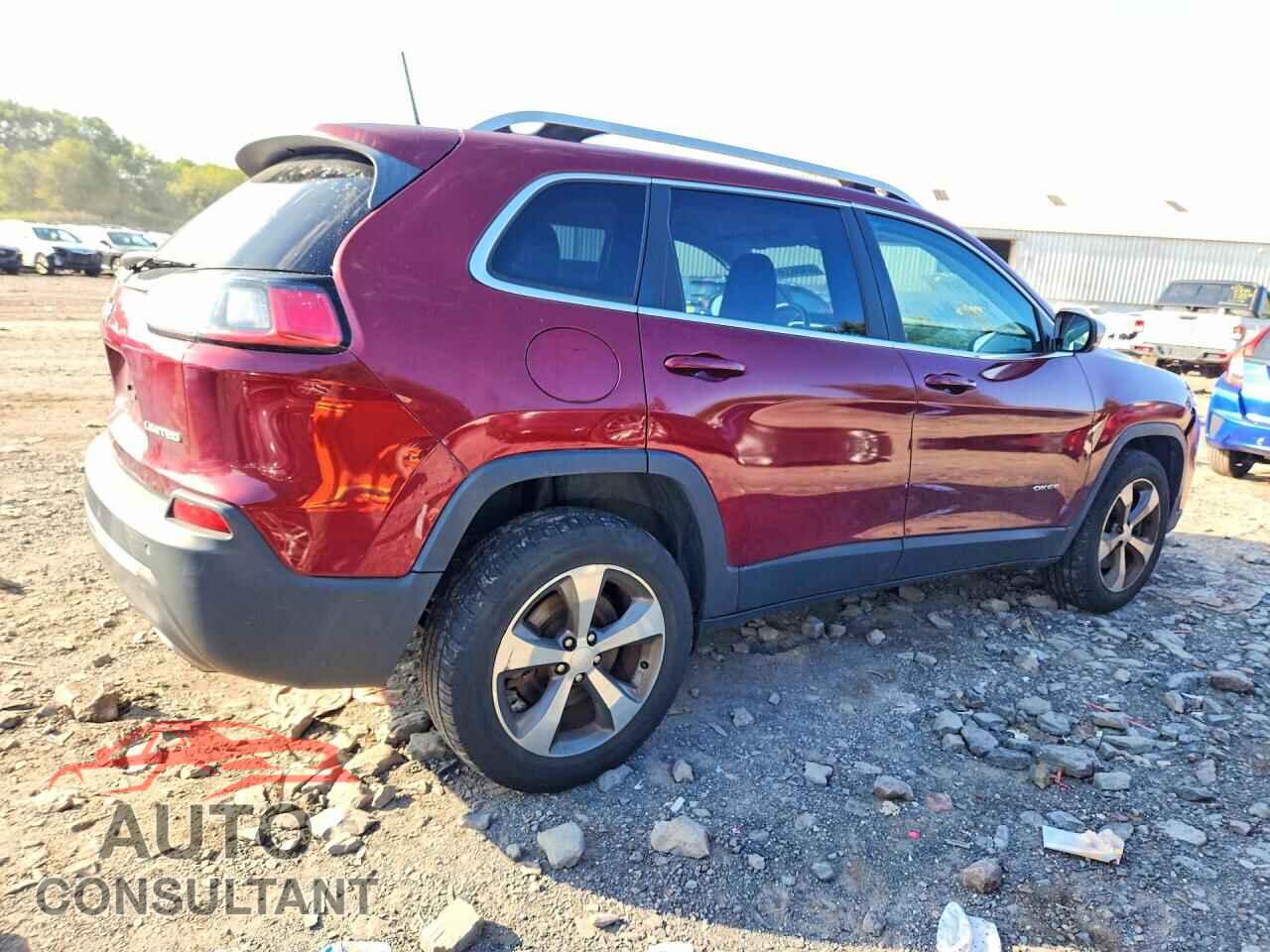 JEEP CHEROKEE 2019 - 1C4PJMDN1KD142653