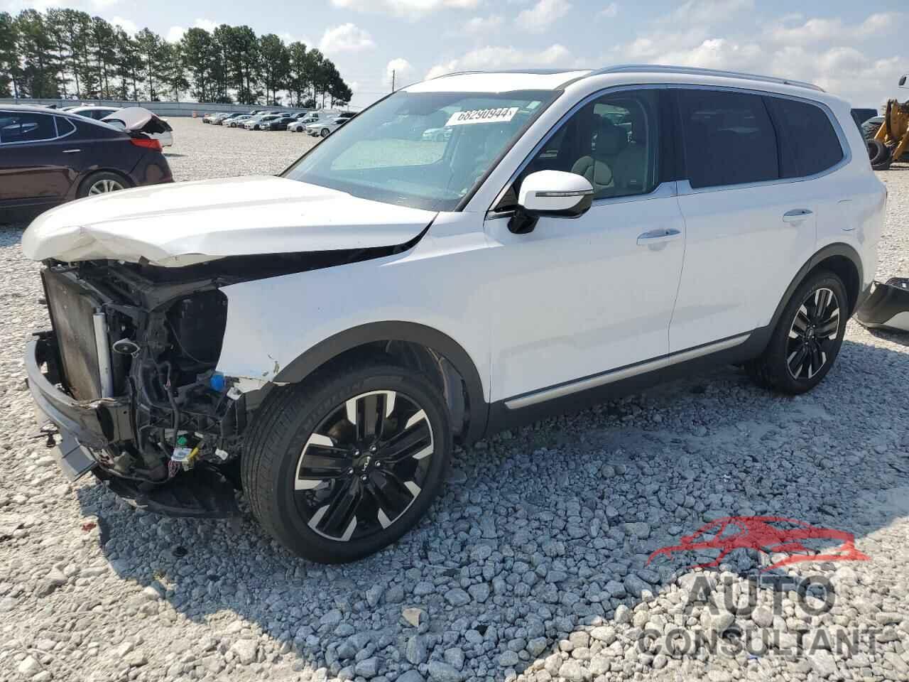 KIA TELLURIDE 2023 - 5XYP5DGC5PG352289