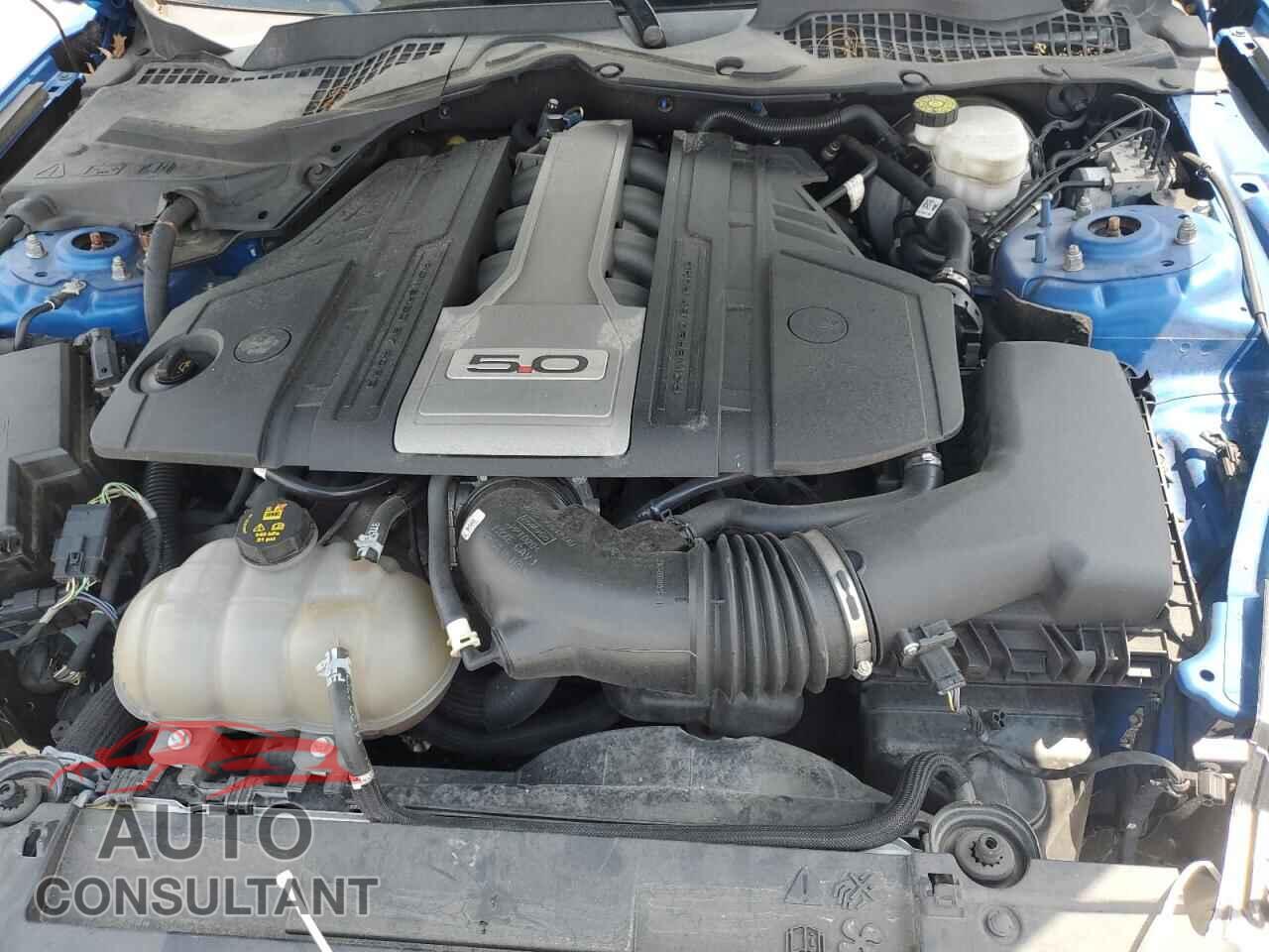 FORD MUSTANG 2019 - 1FA6P8CF9K5166484