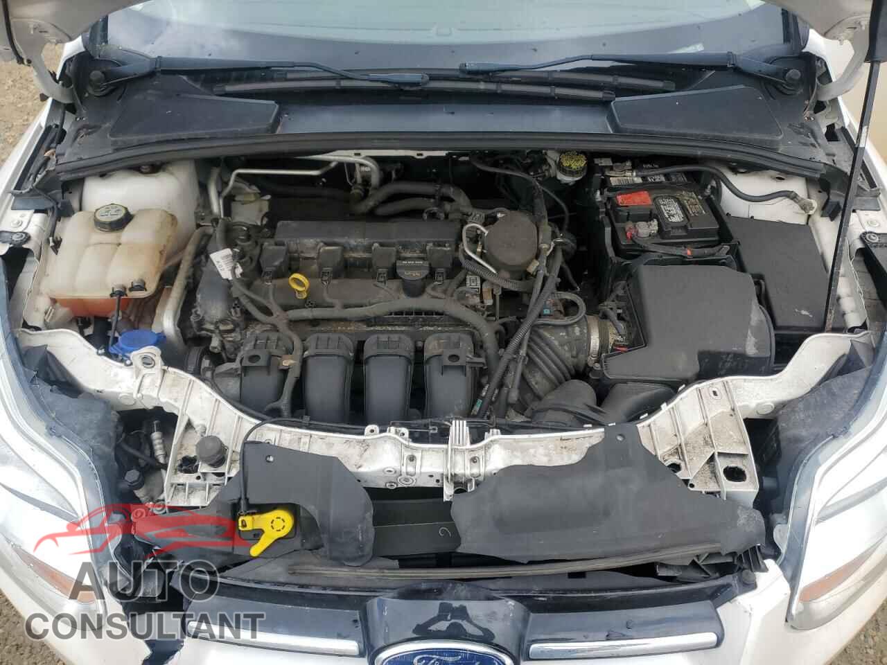 FORD FOCUS 2012 - 1FAHP3H28CL203653