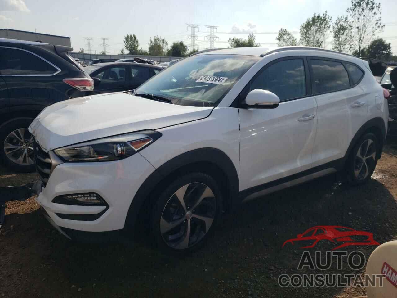 HYUNDAI TUCSON 2017 - KM8J33A25HU289695