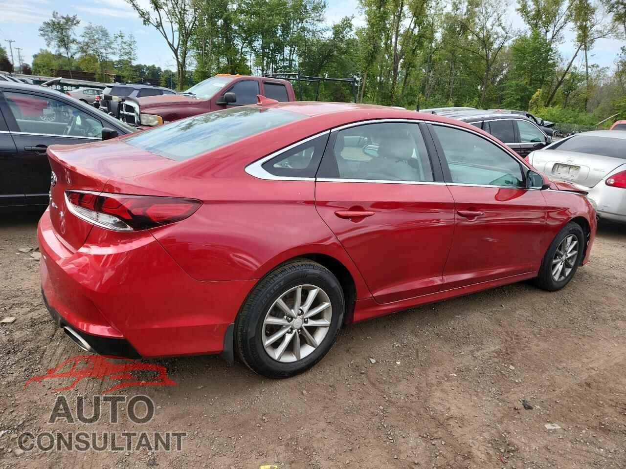 HYUNDAI SONATA 2019 - 5NPE24AF2KH781457