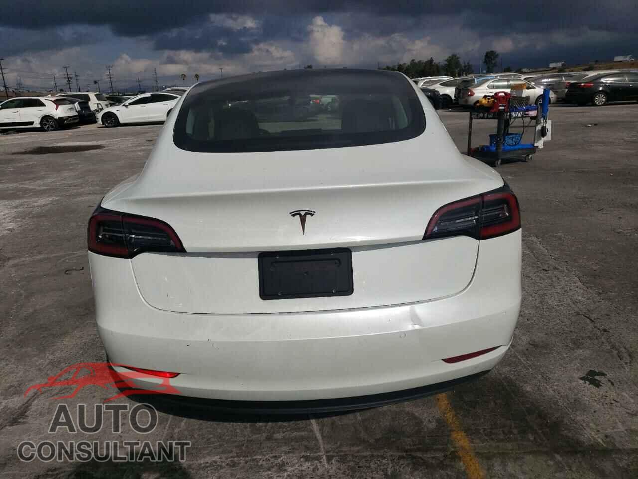 TESLA MODEL 3 2021 - 5YJ3E1EAXMF091596