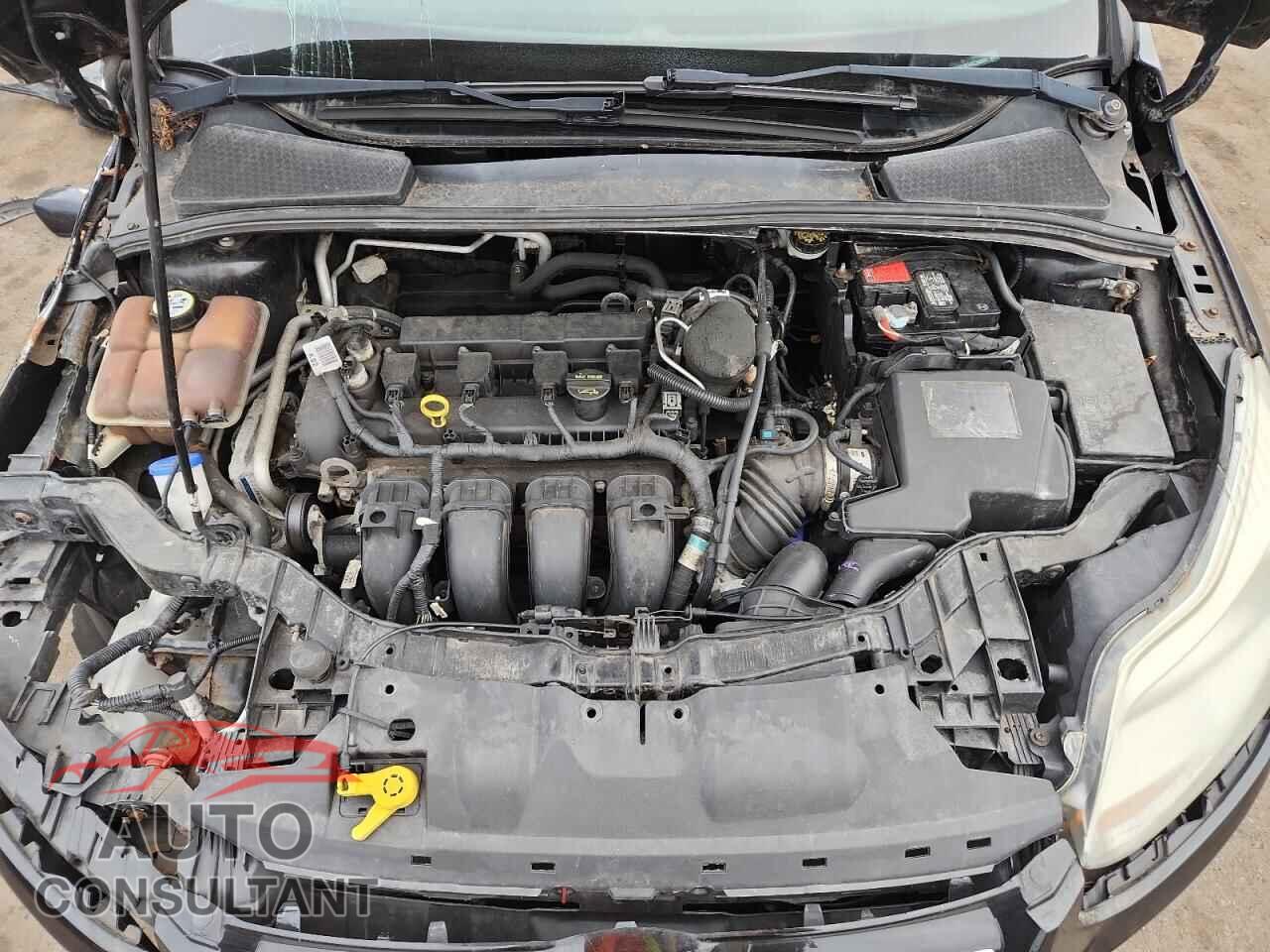 FORD FOCUS 2012 - 1FAHP3M24CL342491