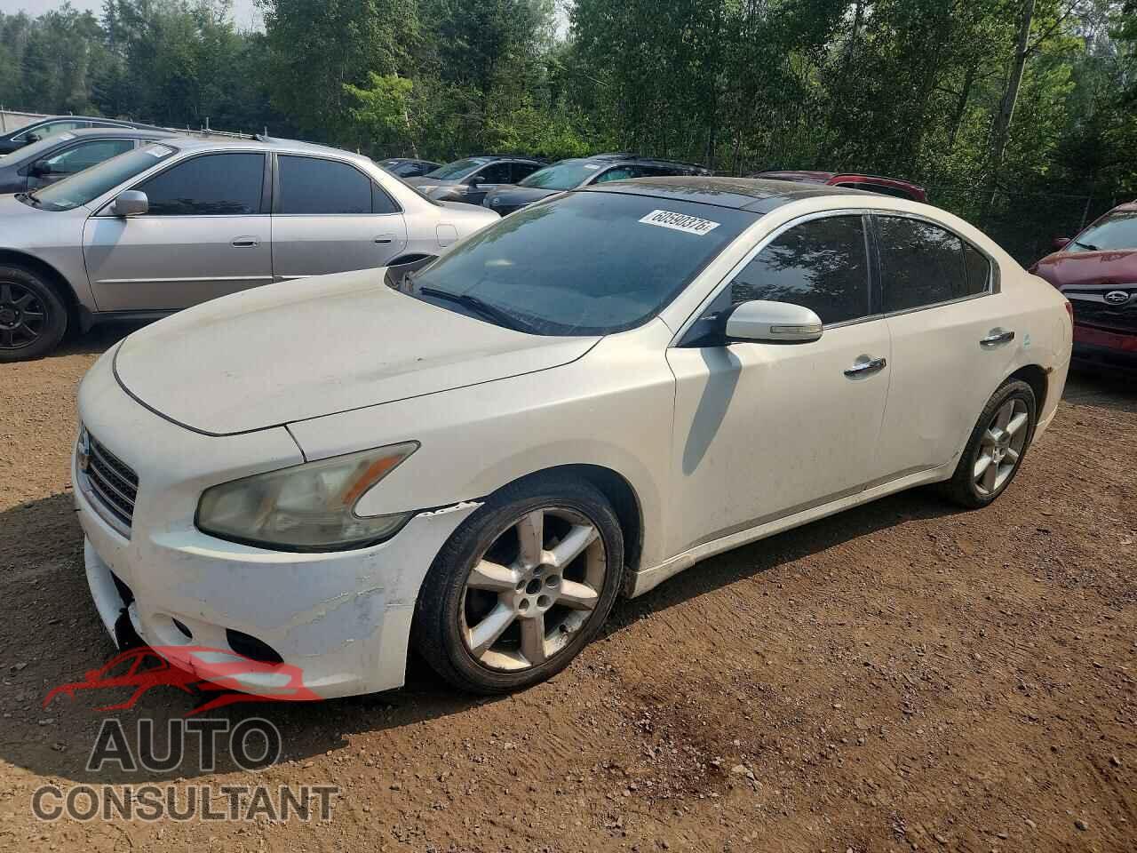 NISSAN MAXIMA 2010 - 1N4AA5AP4AC851069