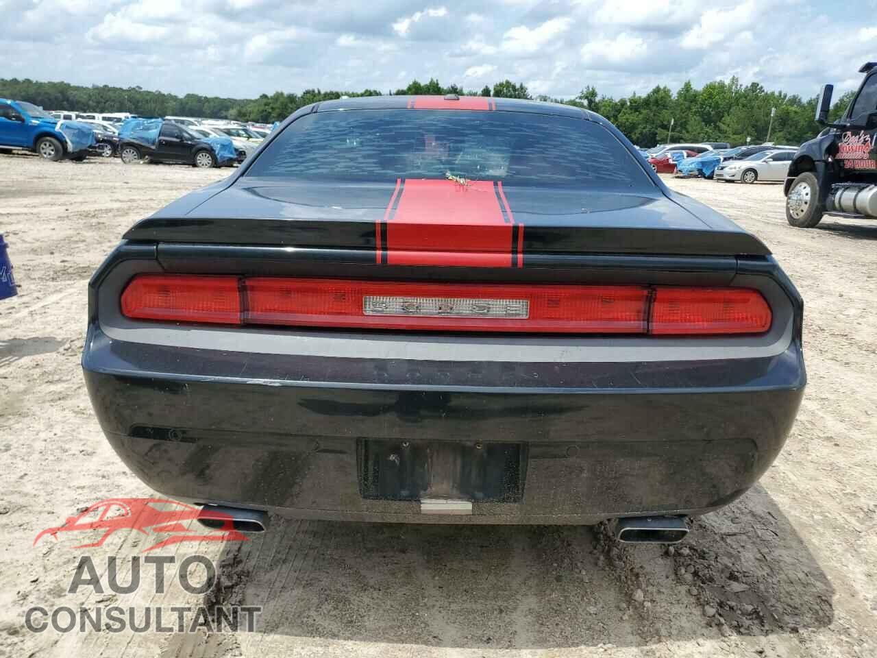 DODGE CHALLENGER 2013 - 2C3CDYAG1DH536263