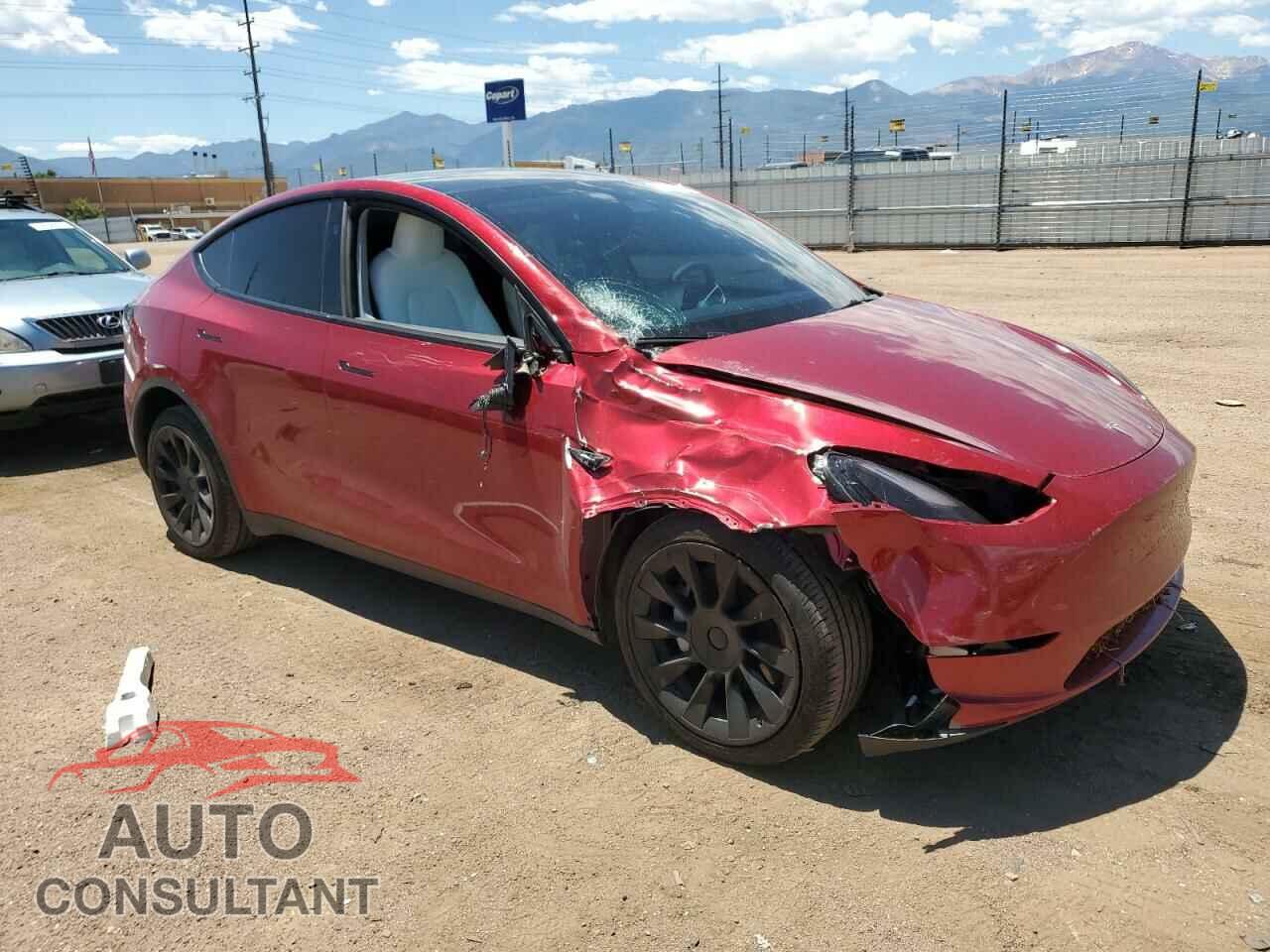 TESLA MODEL Y 2024 - 7SAYGDEE6RF156183