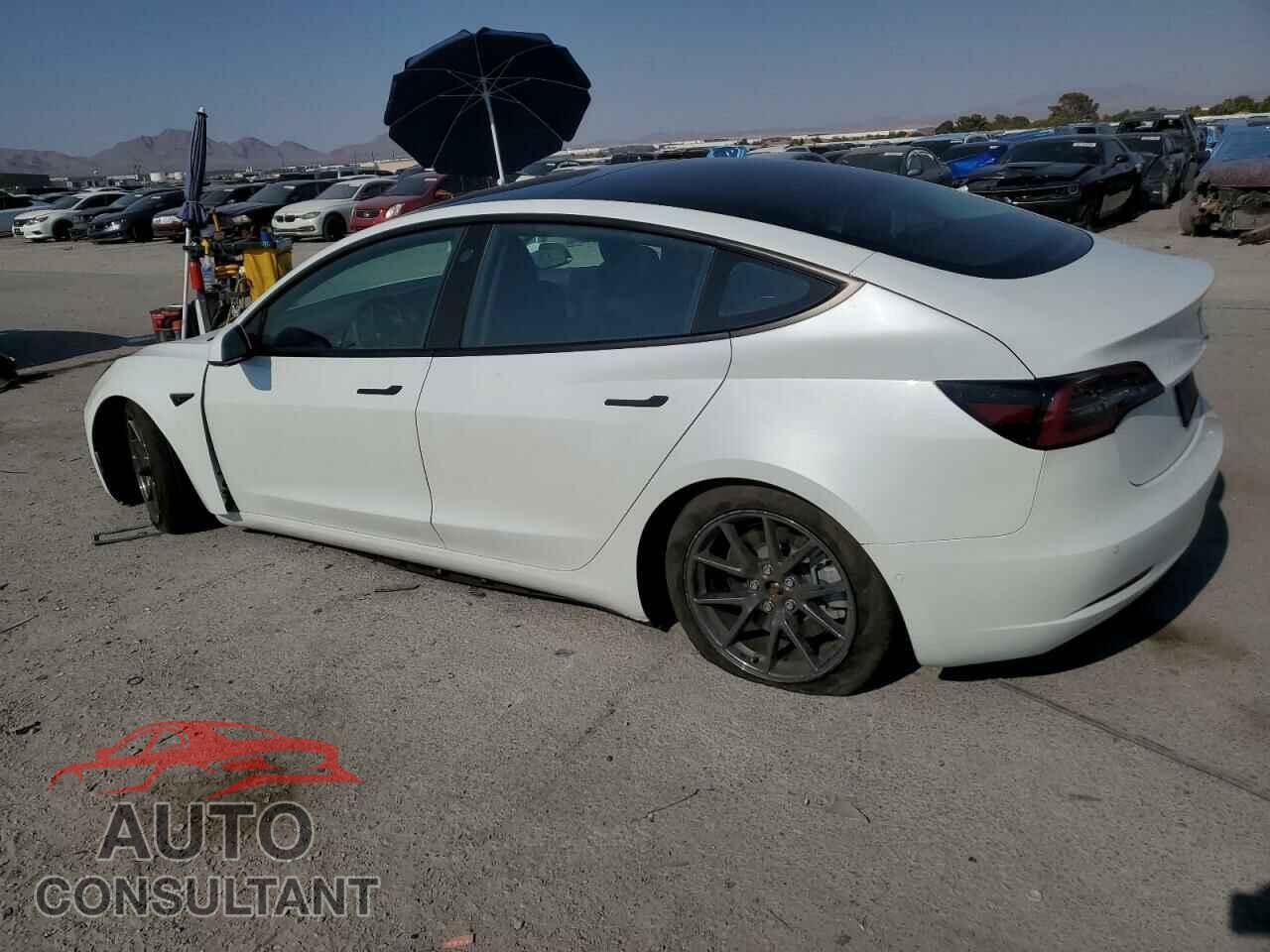 TESLA MODEL 3 2021 - 5YJ3E1EA3MF939558