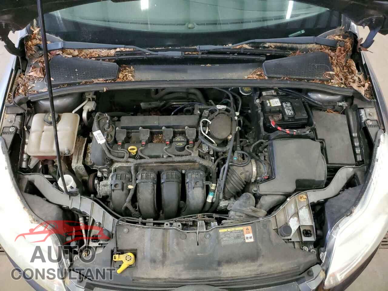FORD FOCUS 2014 - 1FADP3F21EL215003