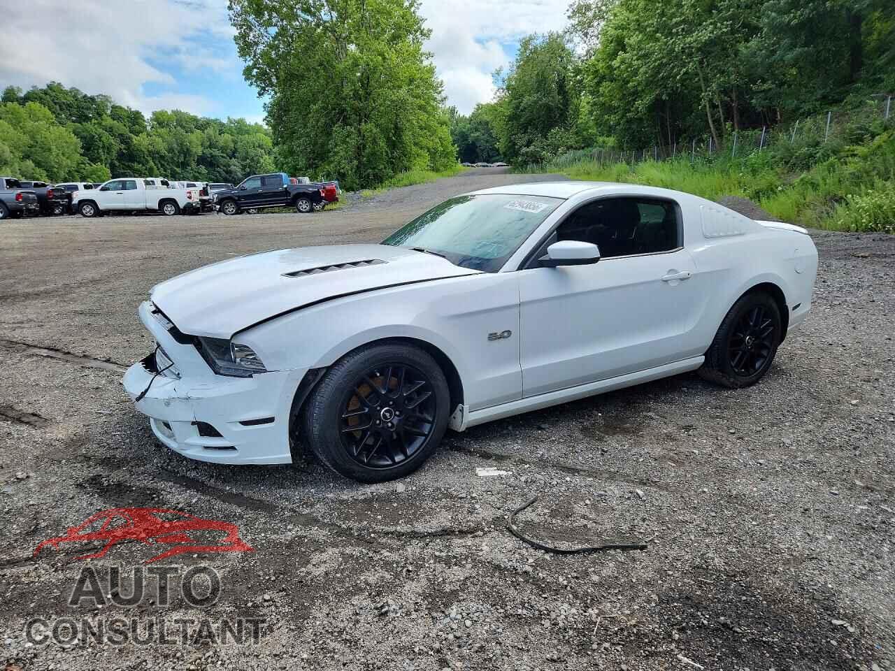 FORD MUSTANG 2014 - 1ZVBP8CF9E5286294