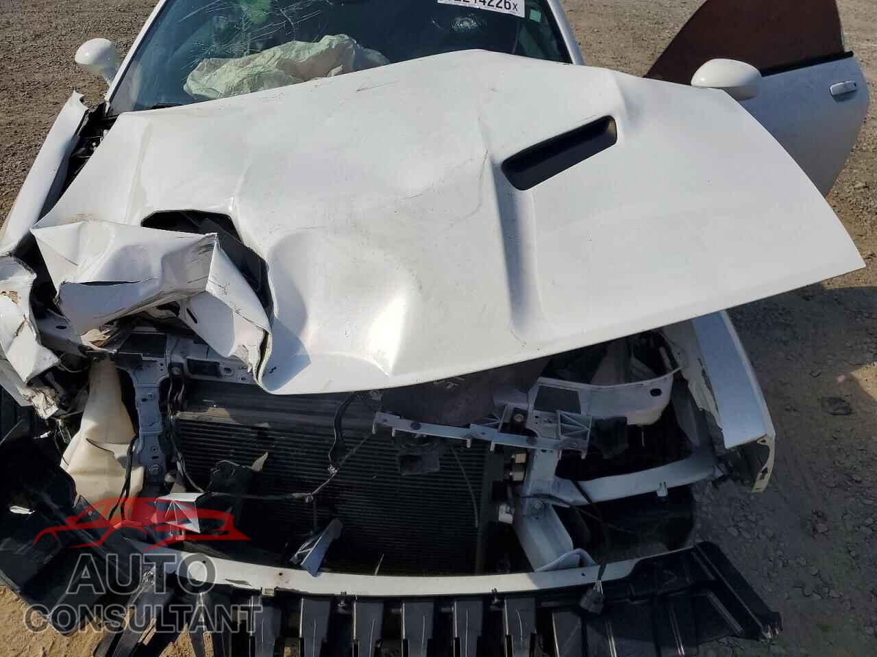 DODGE CHALLENGER 2019 - 2C3CDZAG6KH606648