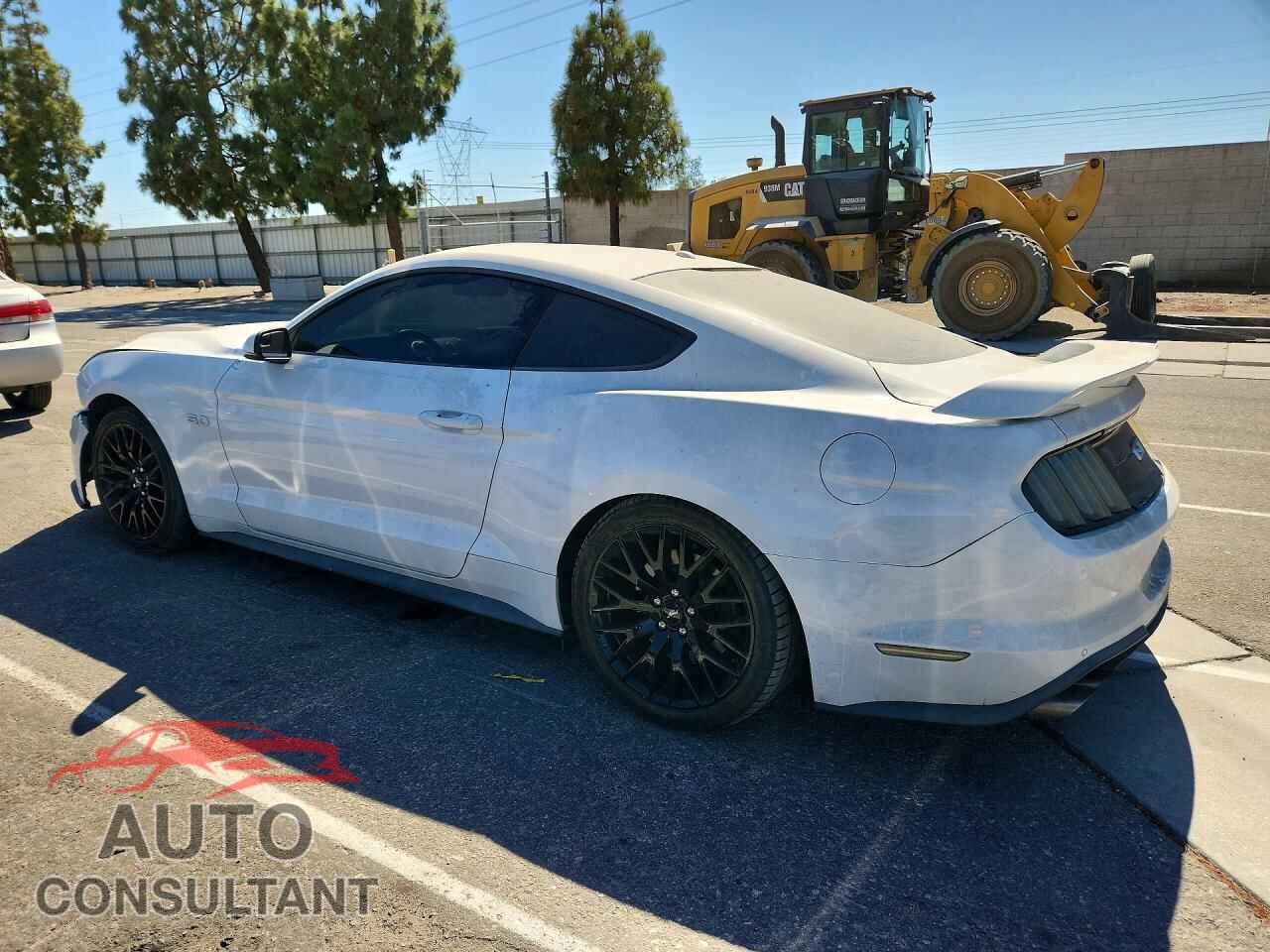 FORD MUSTANG 2019 - 1FA6P8CF3K5169218