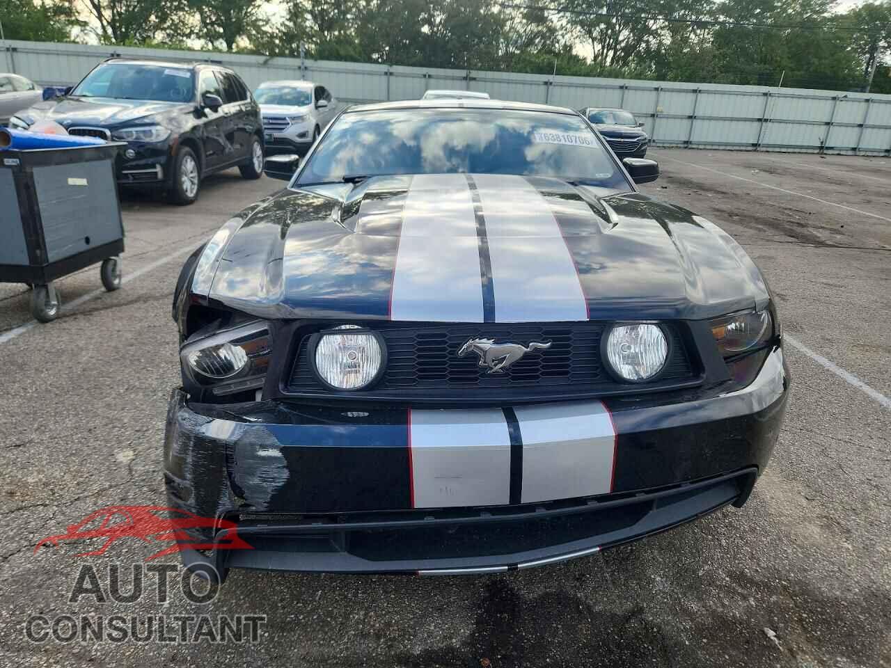 FORD MUSTANG 2012 - 1ZVBP8CF0C5251012