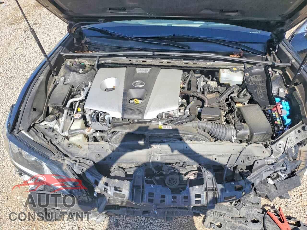 LEXUS ES300 2019 - JTHB21B11K2036557