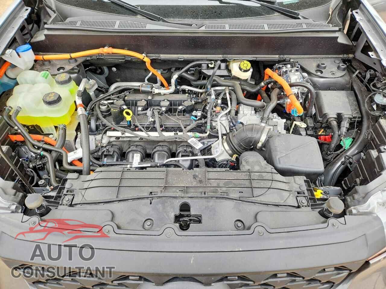 FORD MAVERICK 2025 - 3FTTW8B31SRB71442