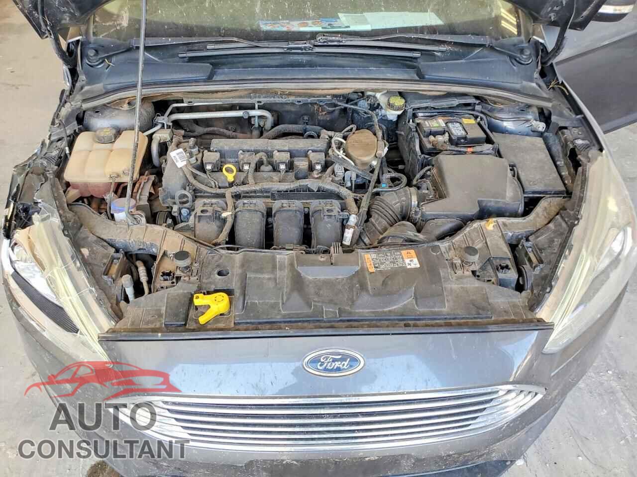 FORD FOCUS 2016 - 1FADP3N29GL274448