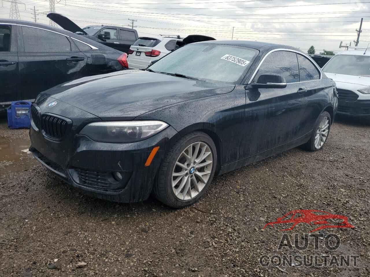 BMW 2 SERIES 2015 - WBA1F5C59FV256458