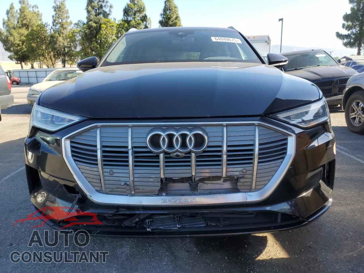 AUDI E-TRON 2019 - WA1LAAGE5KB021414