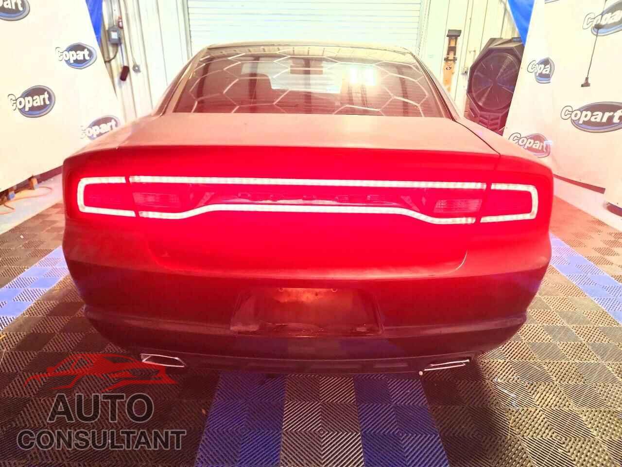 DODGE CHARGER 2014 - 2C3CDXBG2EH324238