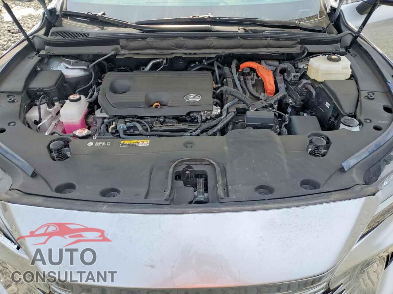 LEXUS RX350H 2024 - 2T2BBMCA4RC042491