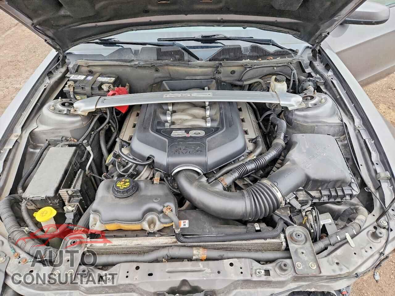 FORD MUSTANG 2014 - 1ZVBP8FF8E5293121