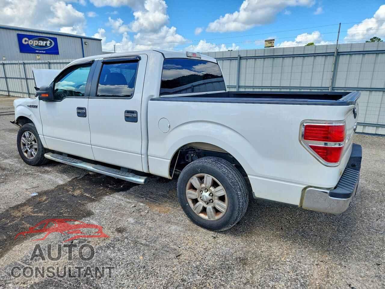 FORD F150 2010 - 1FTEW1C86AFD50839