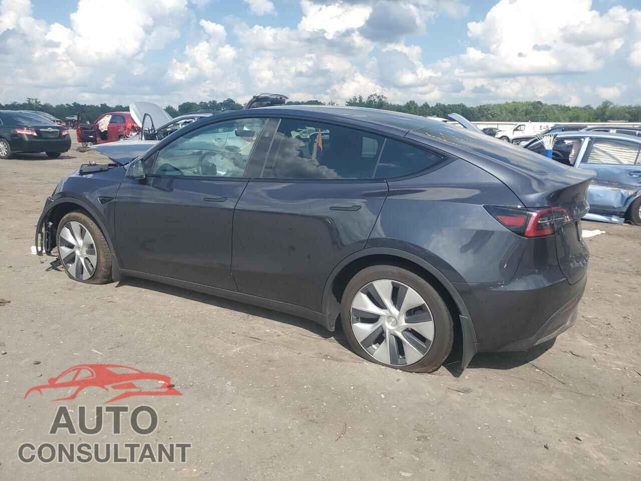 TESLA MODEL Y 2024 - 7SAYGAEE1RF989193