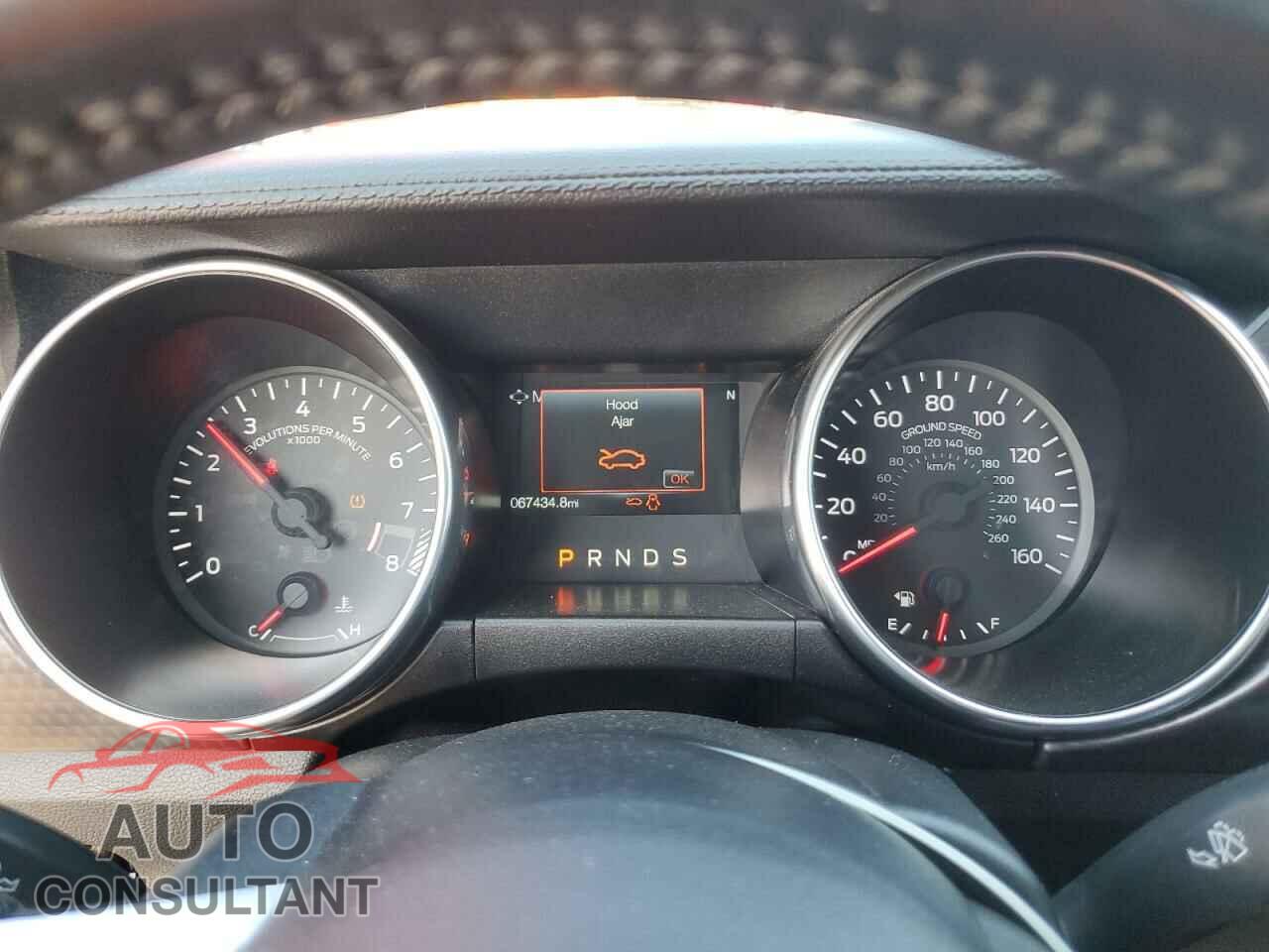 FORD MUSTANG 2019 - 1FA6P8CF7K5125576