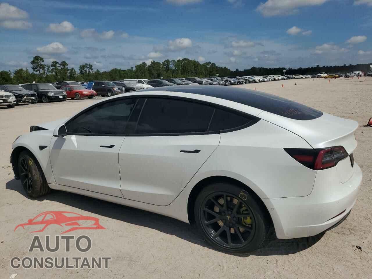 TESLA MODEL 3 2020 - 5YJ3E1EAXLF658954