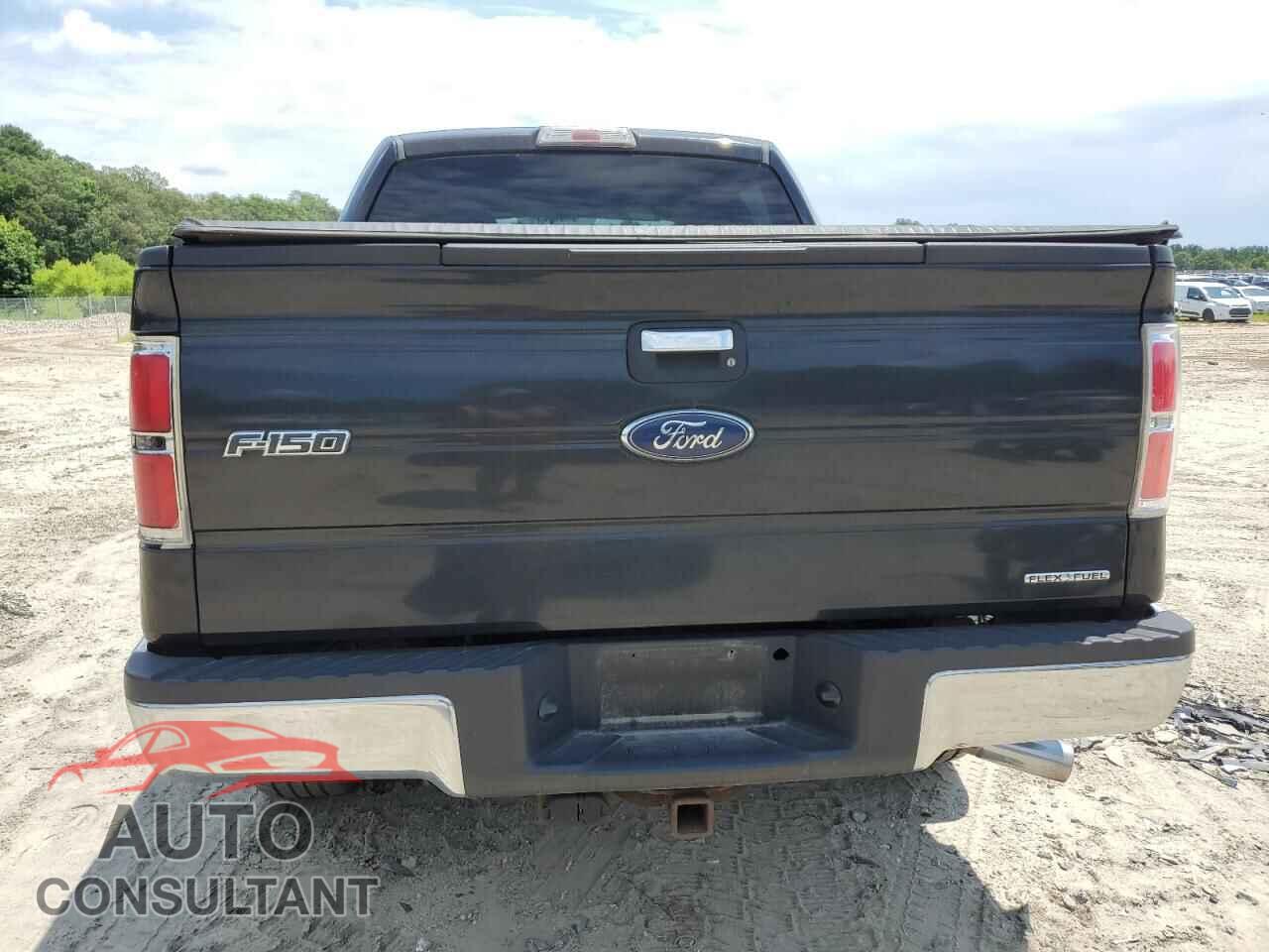 FORD F-150 2013 - 1FTFW1EF7DKD12421